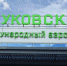 Из Жуковского откроют рейсы в Швейцарию - Жуковский.Life