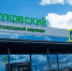Биометрию начнут собирать в аэропорту Жуковского - Regions.Ru