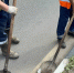 Во дворах по улицам Гарнаева, Чкалова и Маяковского устранят замечания по уборке мусора - Regions.Ru