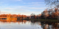 Начало декабря в Подмосковье будет бесснежным и не по-зимнему теплым - Regions.Ru